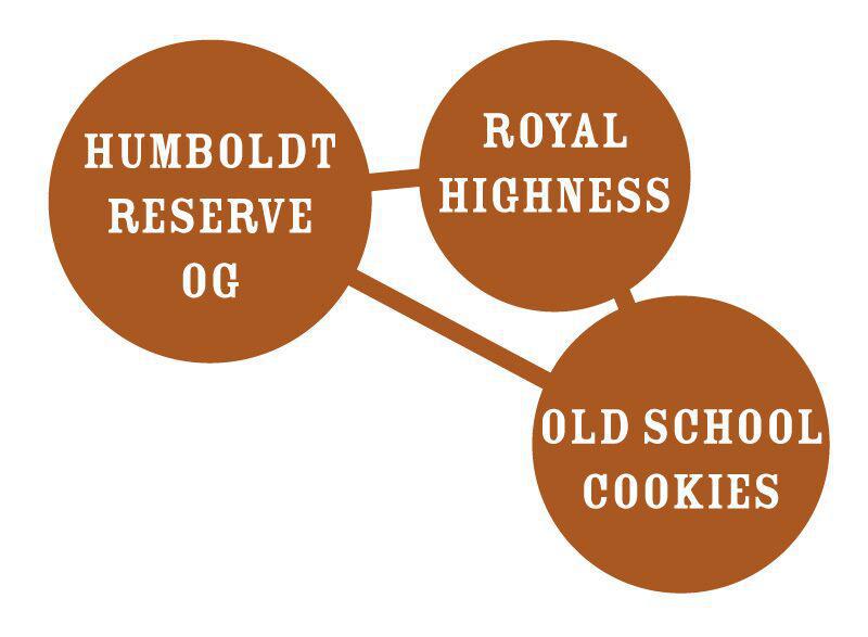 Humboldt - Caramel Cream