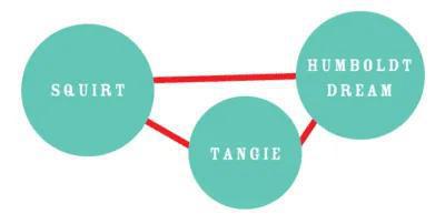 Humboldt - The Upsetter Lee “Scratch” Perry Cannabis Seeds