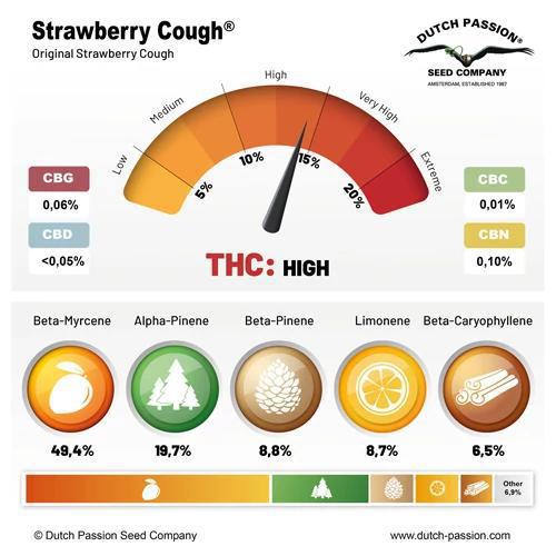 Dutch Passion - Strawberry Cough