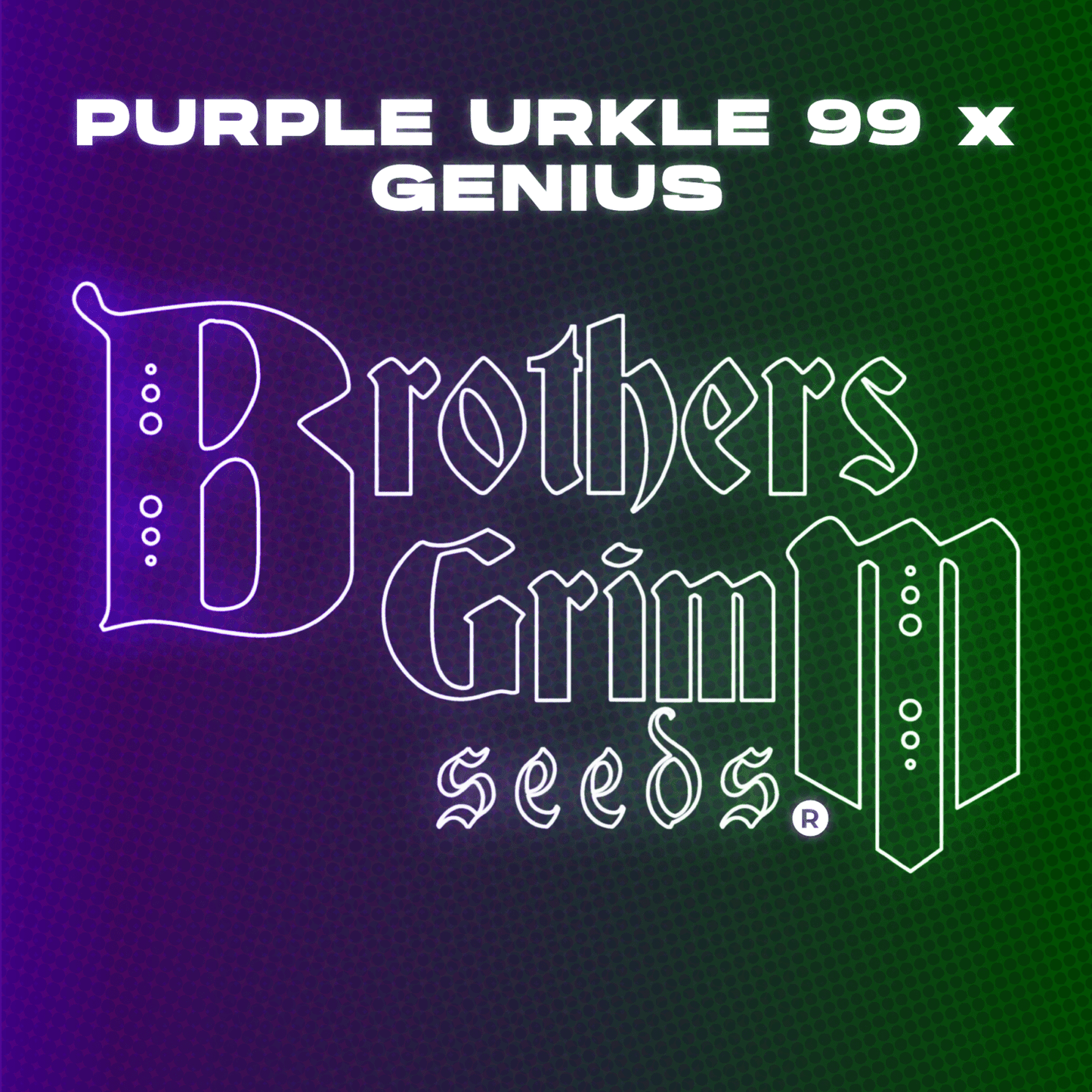 Brothers Grimm - Purple Urkle 99 x Genius