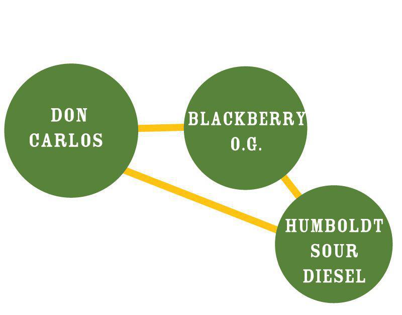 Humboldt - Don Carlos