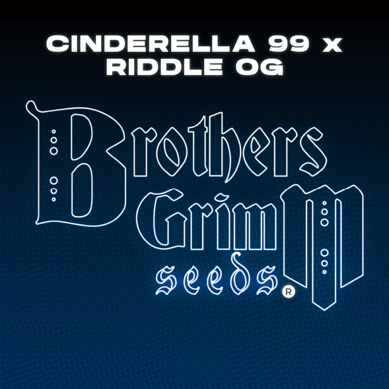 Brothers Grimm - Cinderella 99 x Riddle OG