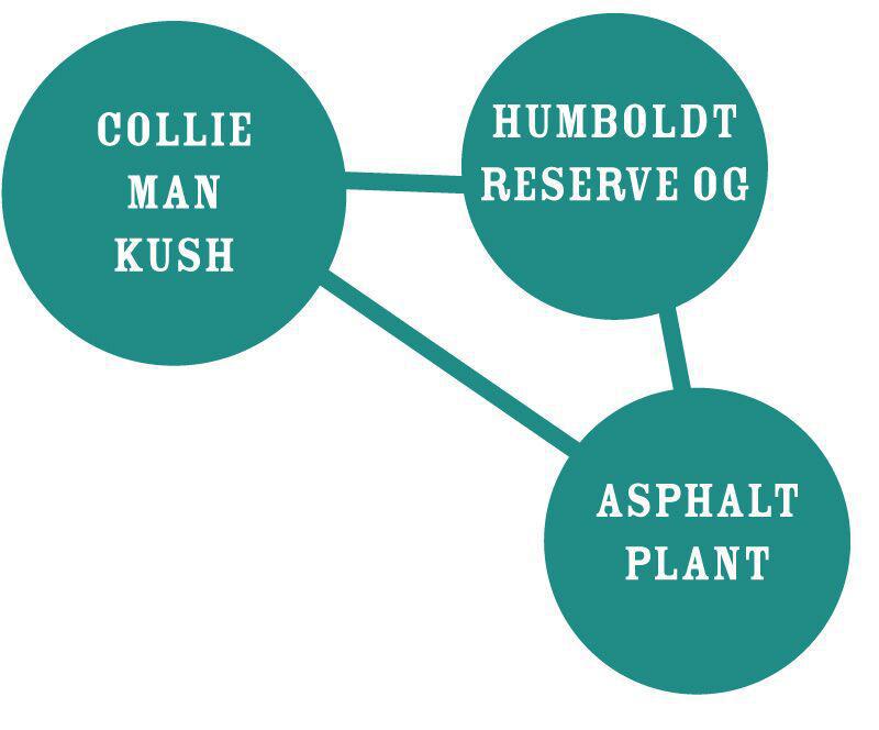 Humboldt - Slightly Stoopid Collie Man Kush