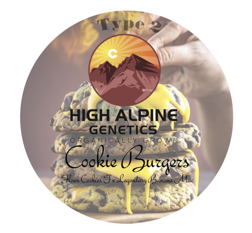 High Alpine Genetics - Cookie Burgers