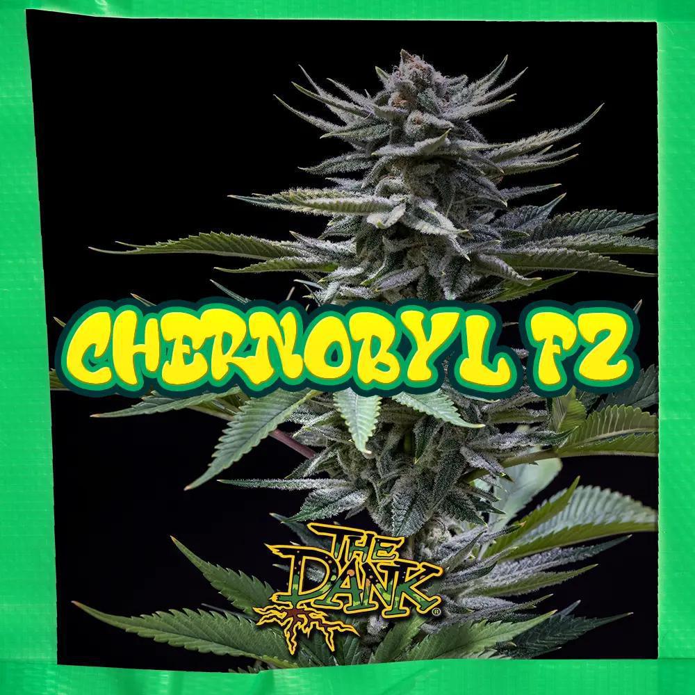 The Dank SubCool - Chernobyl