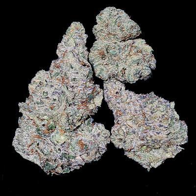 In House Genetics - Gasberry