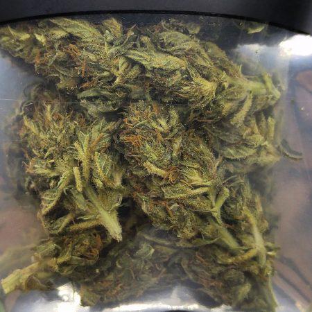 Equilibrium Genetics - High Tide CBD