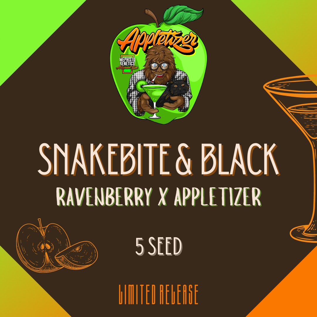 Mephisto - Snakebite & Black