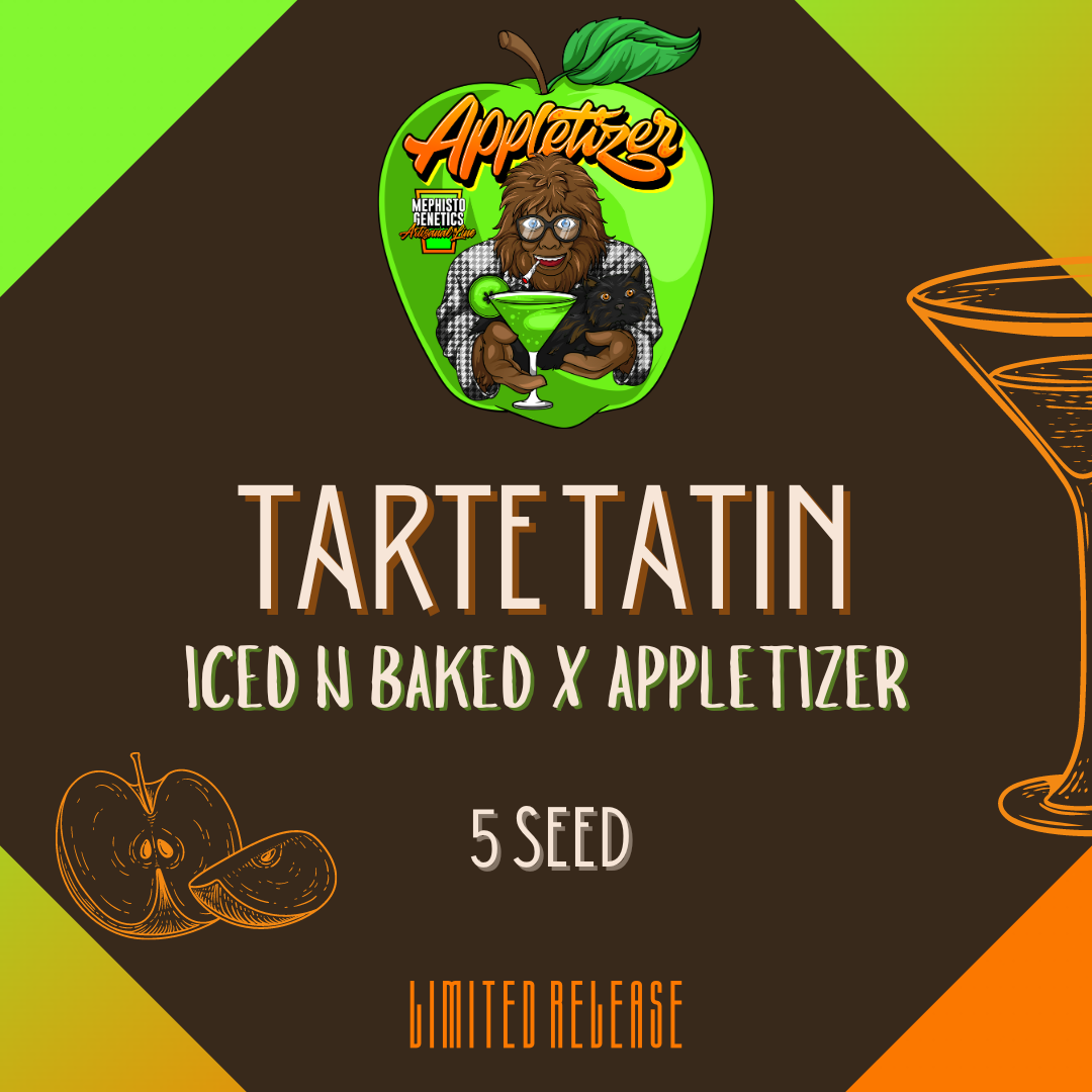 Mephisto - Tarte-Tatin