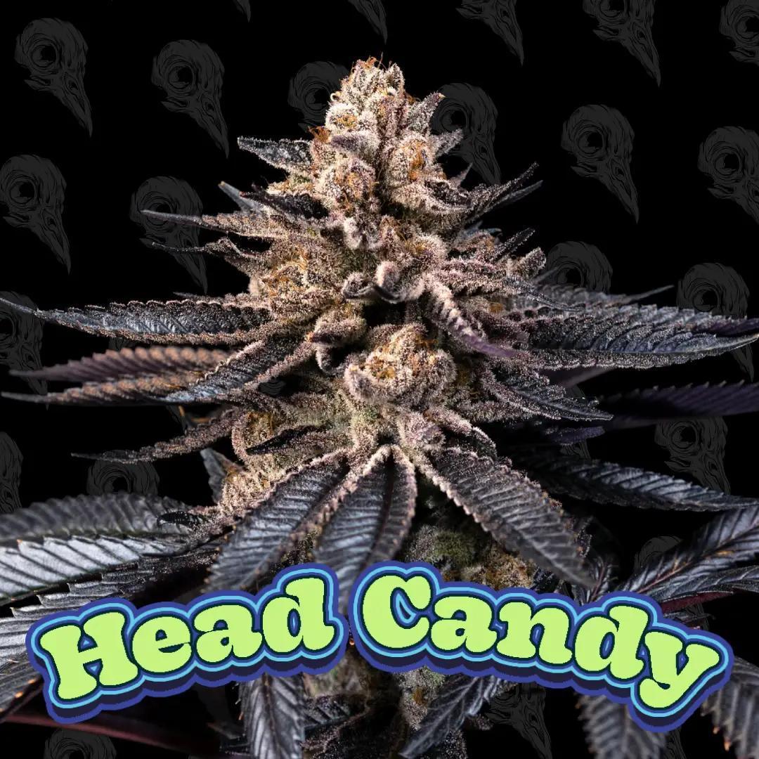 Dirty Bird - head Candy