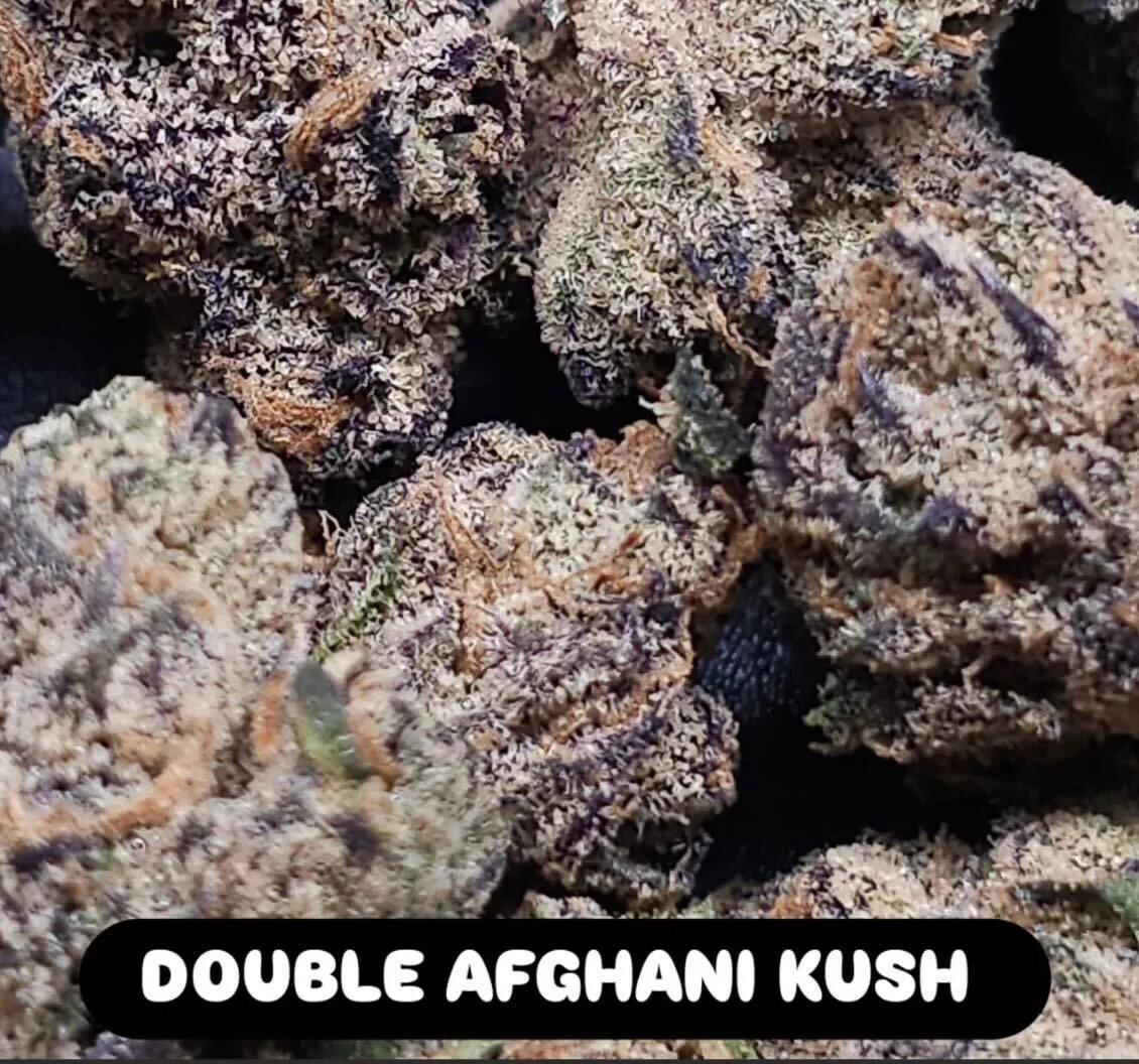 In House Genetics - Double Afghani Kush