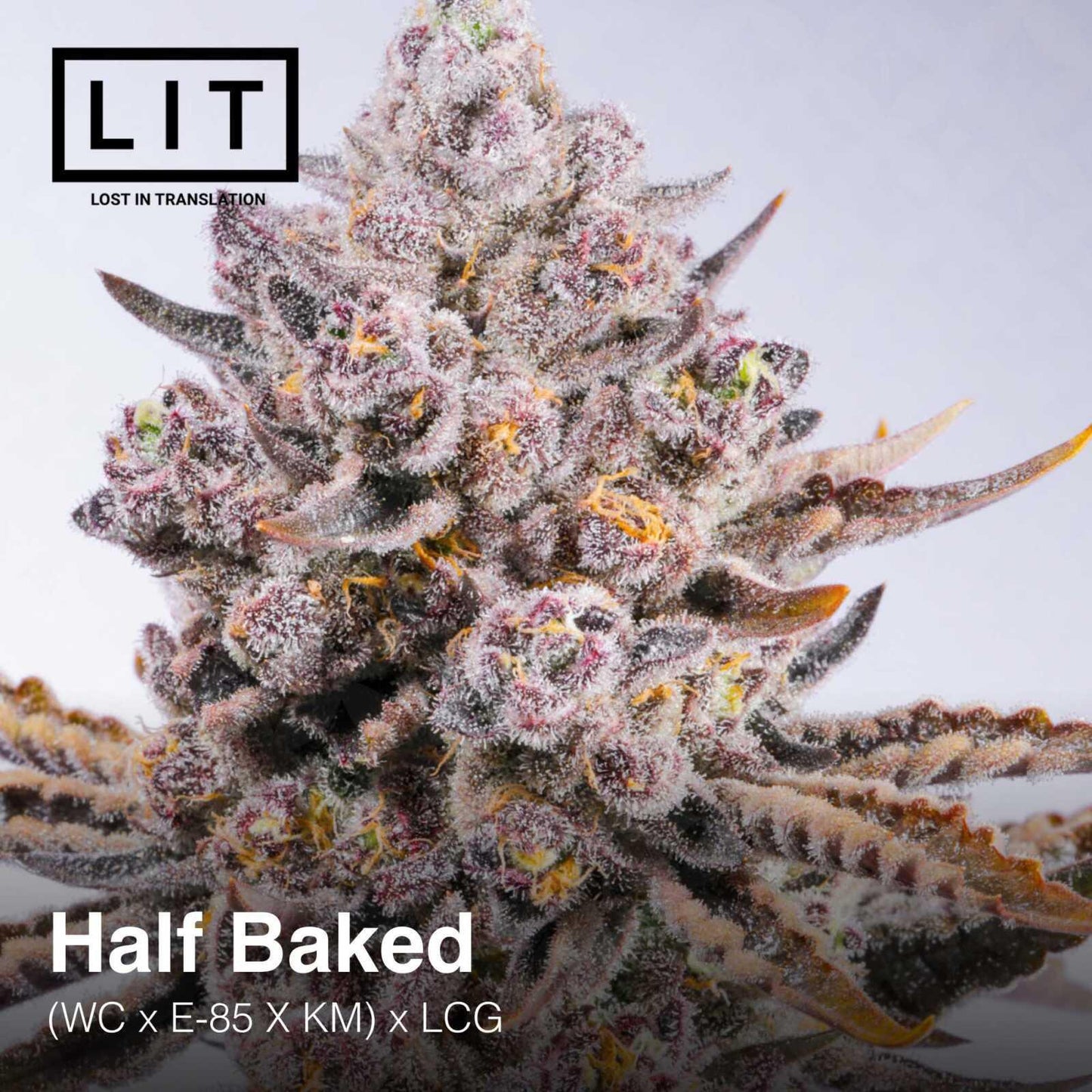 Lit Farms - Half Baked