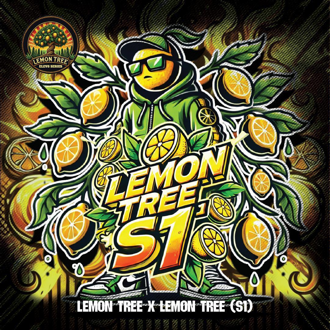 Elev8 - Lemon tree S1