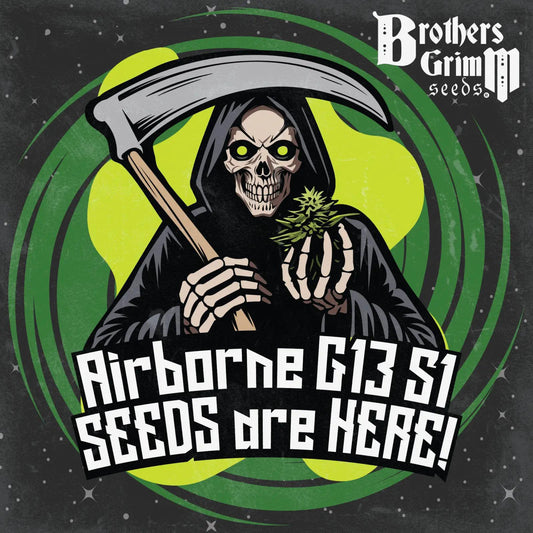 Brothers Grimm - Airborne G13 S1