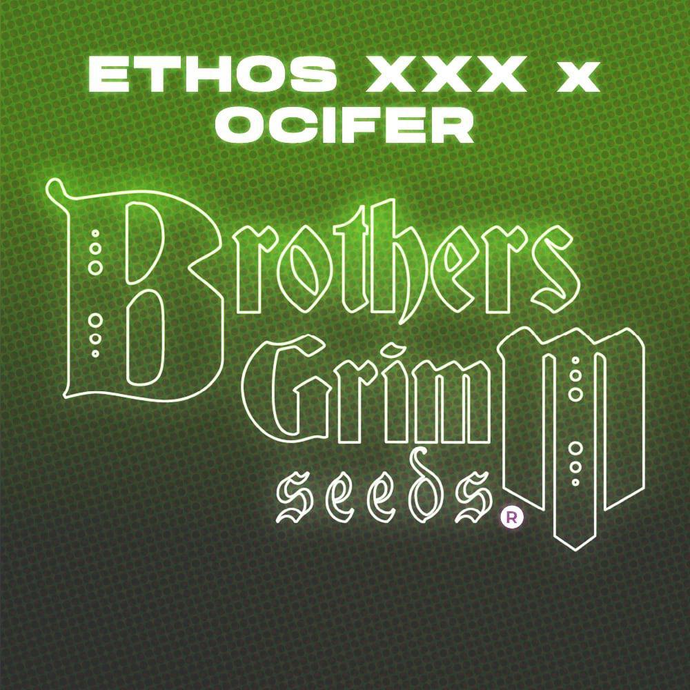 Brothers Grimm - Ethos XXX x Ocifer
