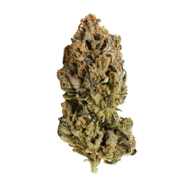 Royal Queen - Royal Highness