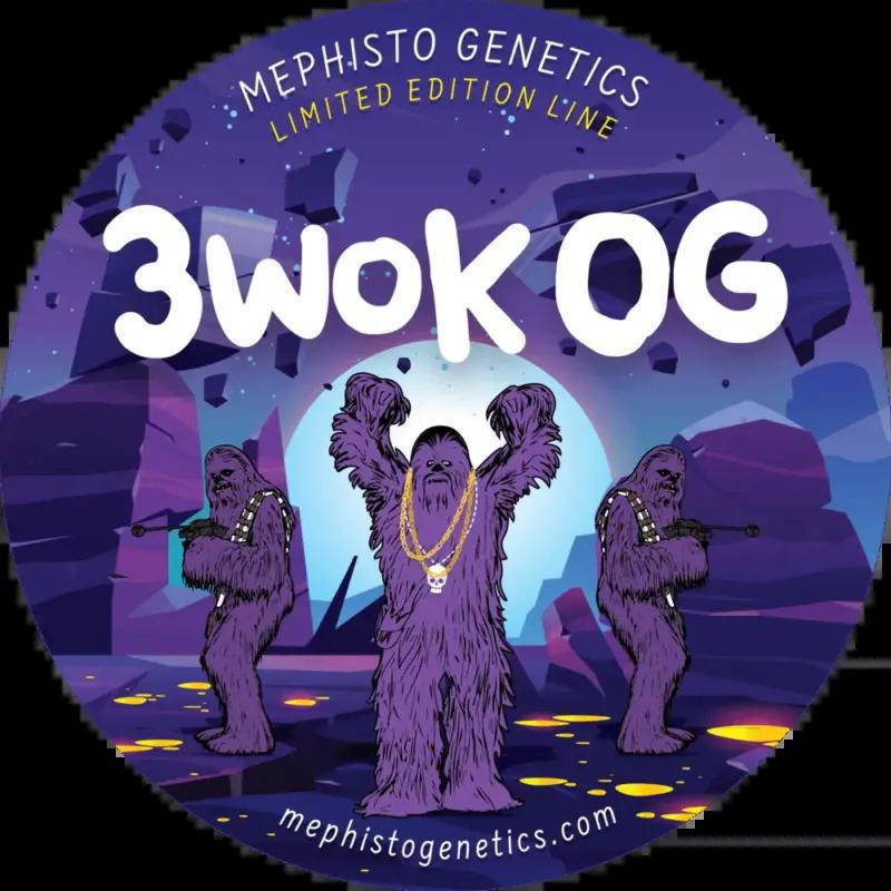 Mephisto - 3 wok OG f3