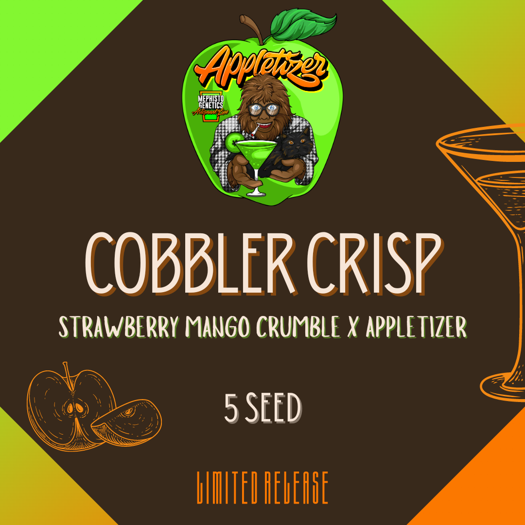 Mephisto - Cobbler Crisp