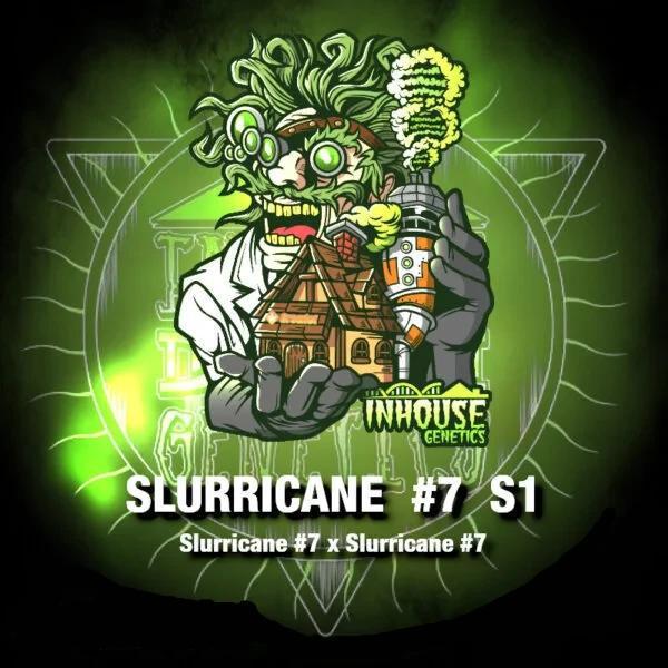 In House Genetics - Slurricane #7 S1