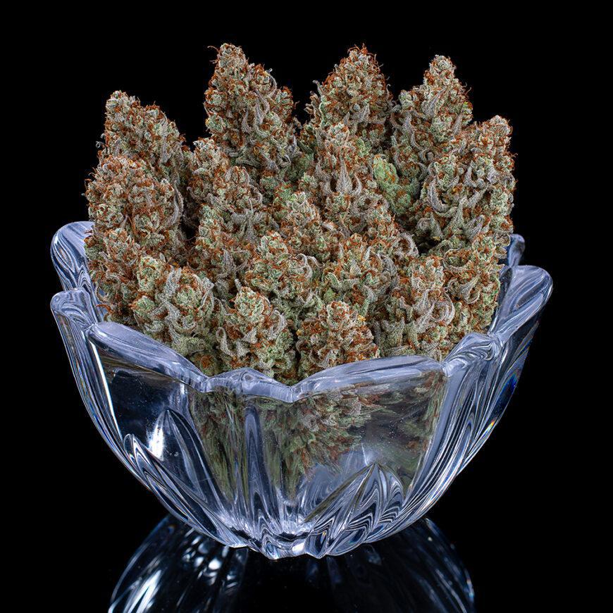 Brothers Grimm - Headband 99