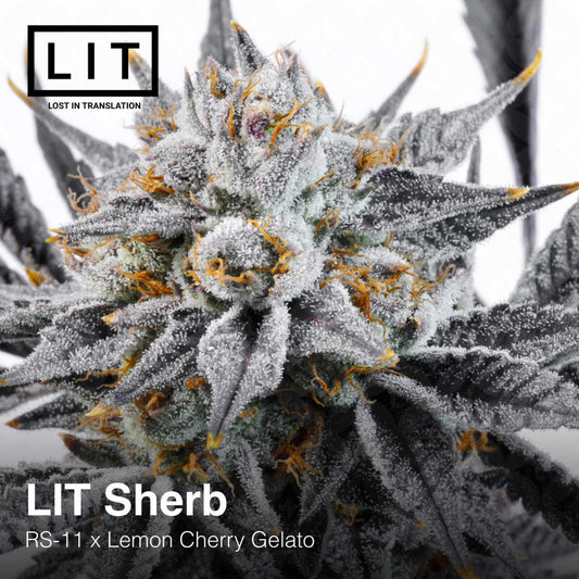 Lit Farms - Lit Sherb