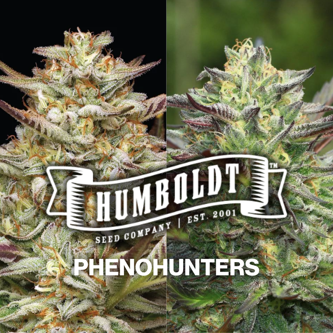 Humboldt - Pheno Hunters