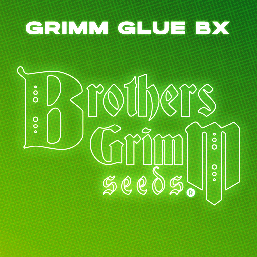 Brothers Grimm - Grimm Glue Bx
