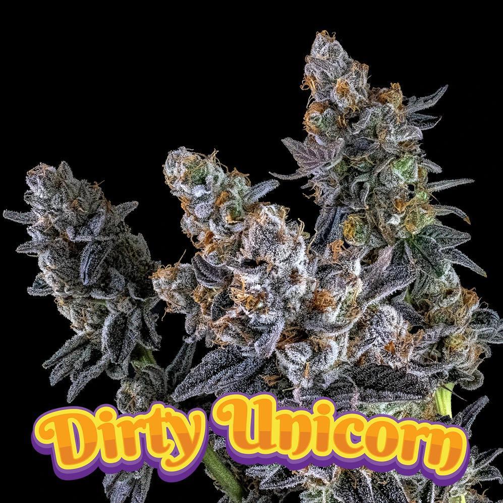 Dirty Bird - Dirty Unicorn