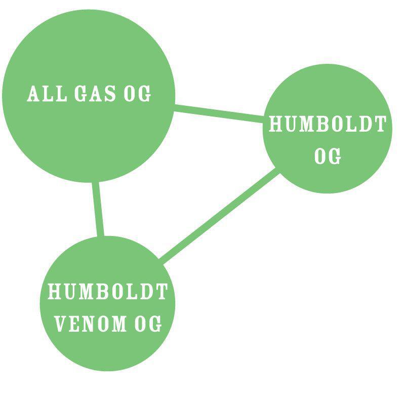 Humboldt - All Gas OG