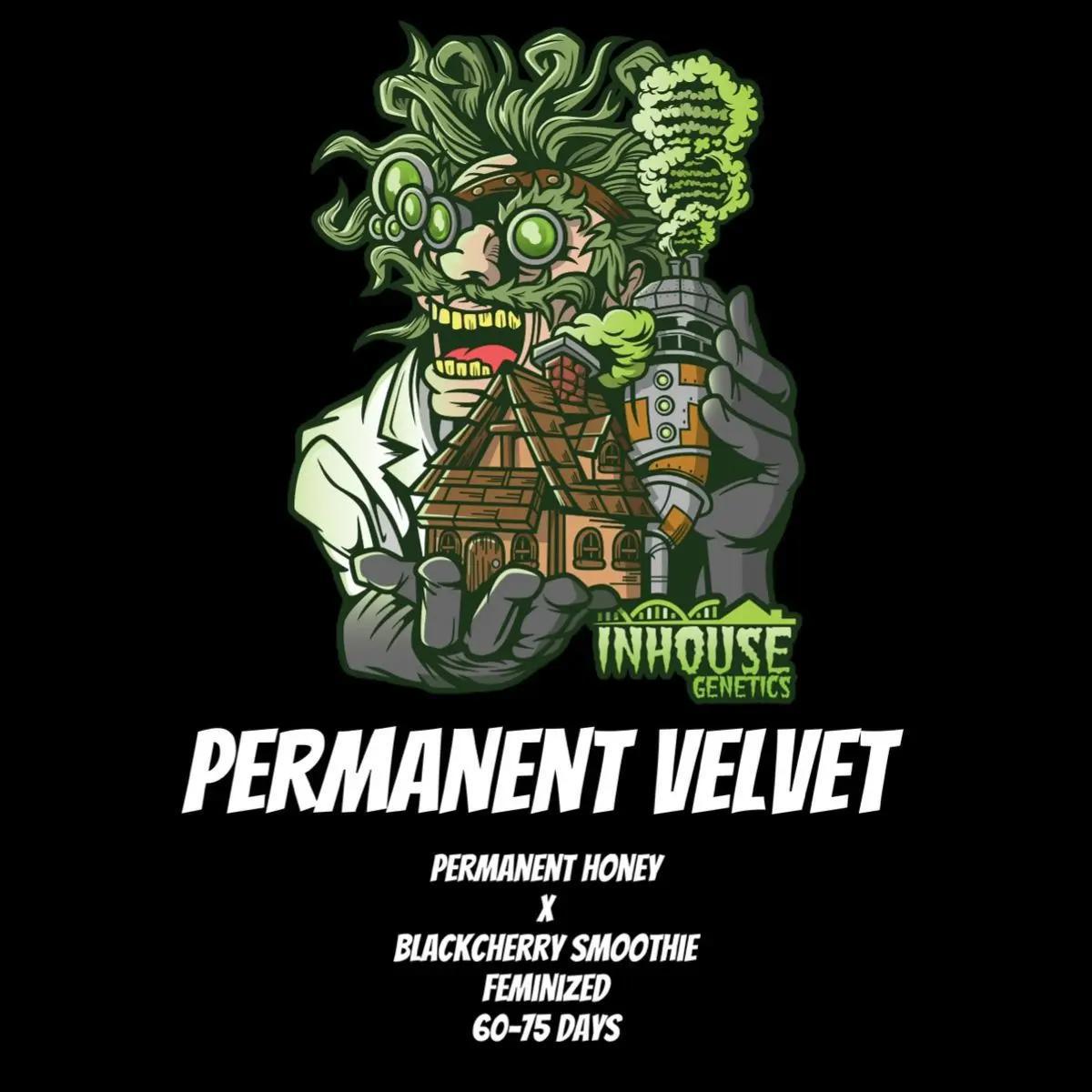 In House Genetics - Permanent Velvet
