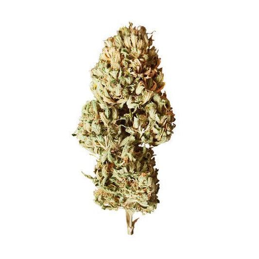 Royal Queen - Royal AK Auto