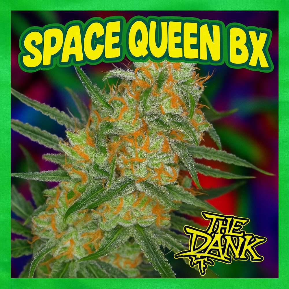 The Dank SubCool - Space Queen