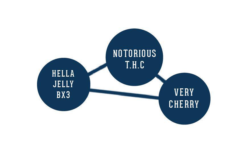 Humboldt - Hella Jelly