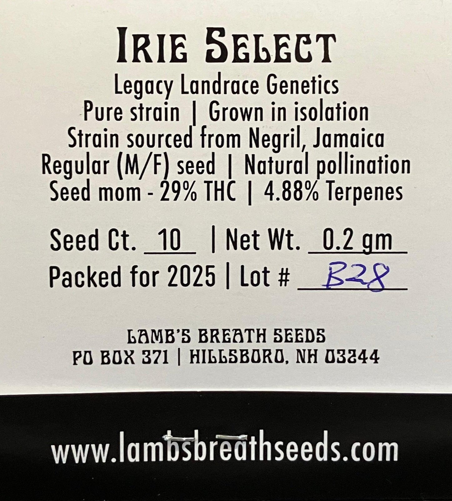 Lamb's Breath Seeds - Ire Select