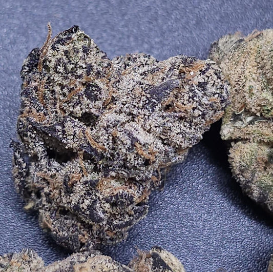 In House Genetics - Double Afghani Kush