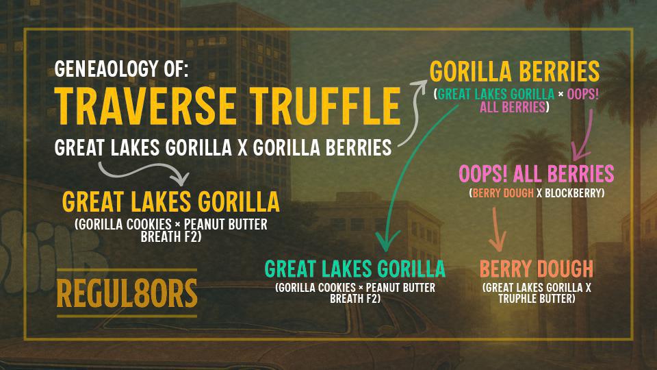 Elev8 - Traverse Truffle