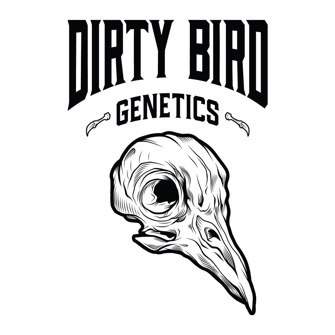 Dirty Bird Genetics