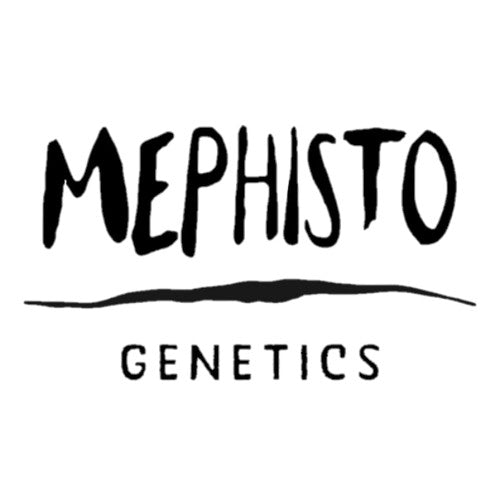 Mephisto Genetics