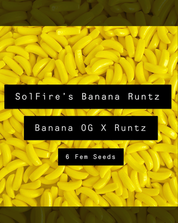 sol fire - Solfire's Banana Runtz