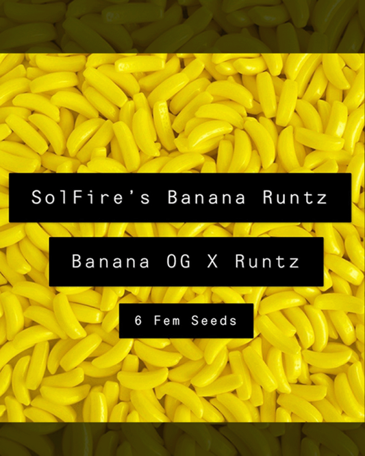 sol fire - Solfire's Banana Runtz
