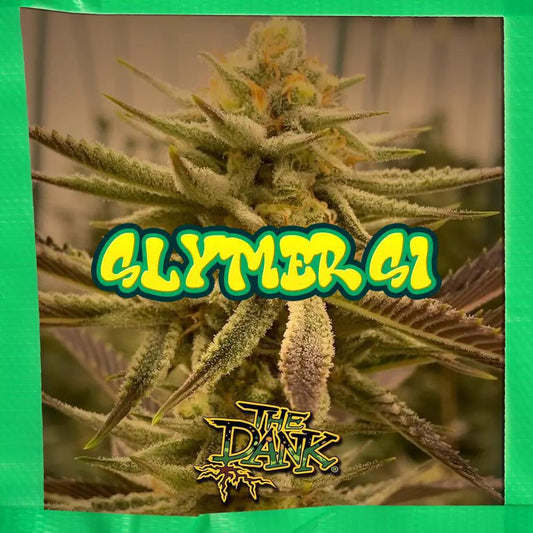 The Dank SubCool - Slymer S1