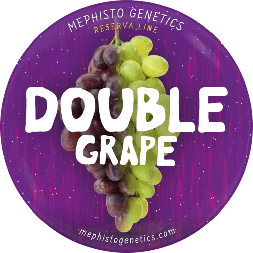 Mephisto - Double Grape