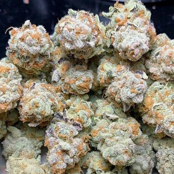 In House Genetics - Slurricane #7 S1