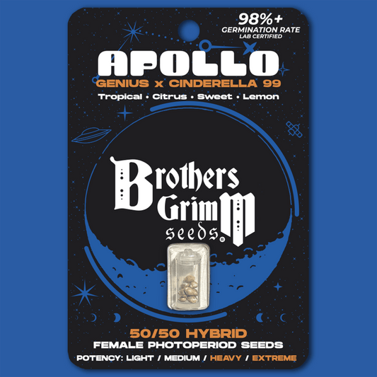 Brothers Grimm - Apollo