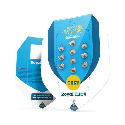 Royal Queen - Royal THCV