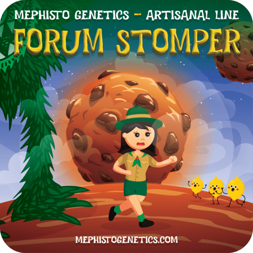 Mephisto - Forum Stomper