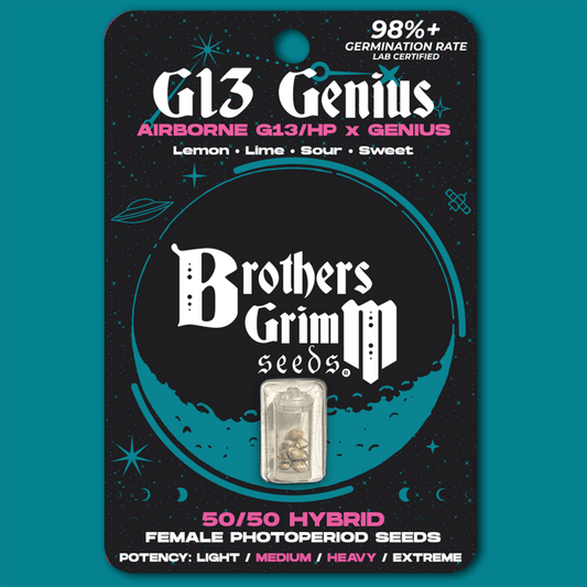 Brothers Grimm - G13 Genius