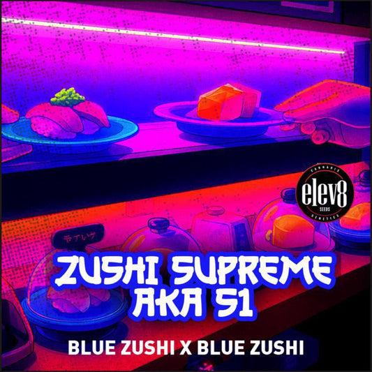 Elev8 - Blue Zushi S1