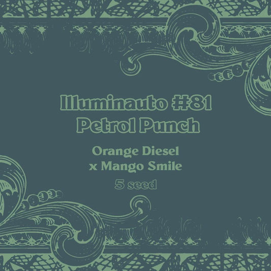 Mephisto - Petrol Punch