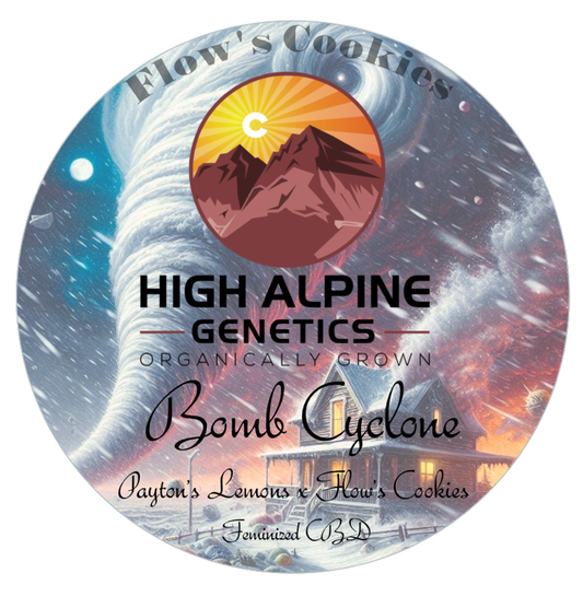 High Alpine Genetics - Bomb Cyclone